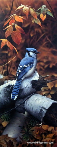 Jerry Gadamus Black Berry Blue