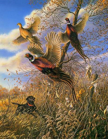 James Meger Black Jack Lab Pheasant Hunting Print