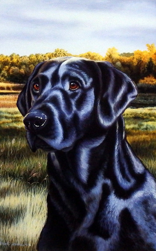 Michael Steddum Black Lab