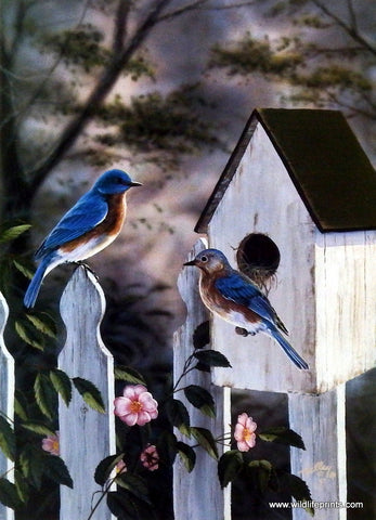 Rick Kelley Bluebirds
