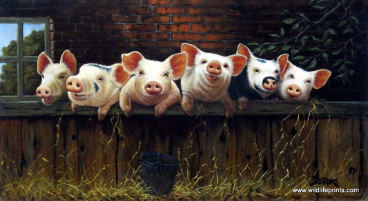 Derk Hansen Board Meeting