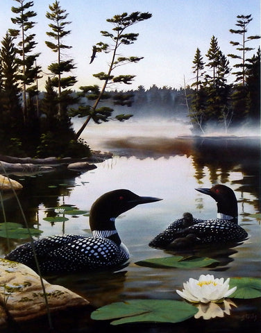 Leo Stans Boundary Waters- Loon