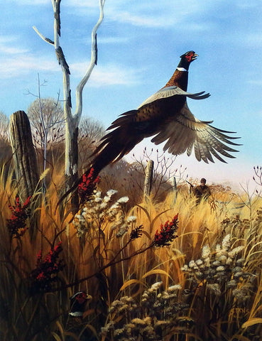 Leo Stans Bountiful Harvest- Pheasant