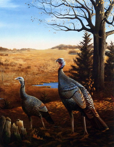 Leo Stans Bountiful Harvest- Wild Turkeys