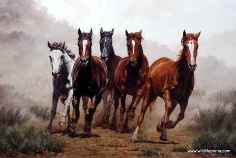 Chris Cummings Galloping Wild Horses Herd