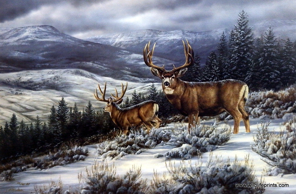 Rosemary Millette Break in the Storm