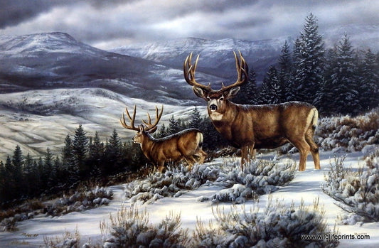 Rosemary Millette Break in the Storm