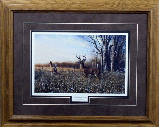 21"x17" Framed Open Edition