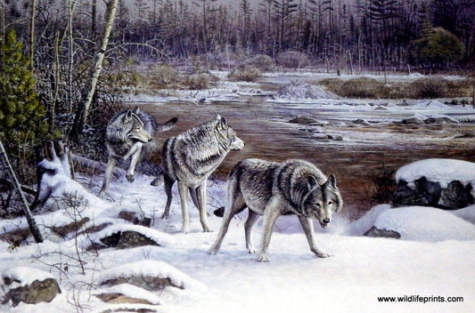 Scott Zoellick Brule River Passage