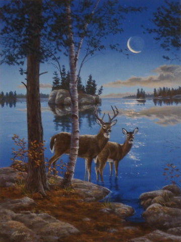 Darrell Bush Night Cap Deer Lake Art Print