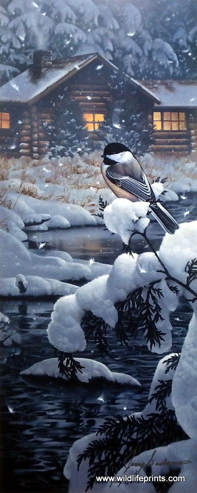 Jerry Gadamus Cabin Creek Chickadee
