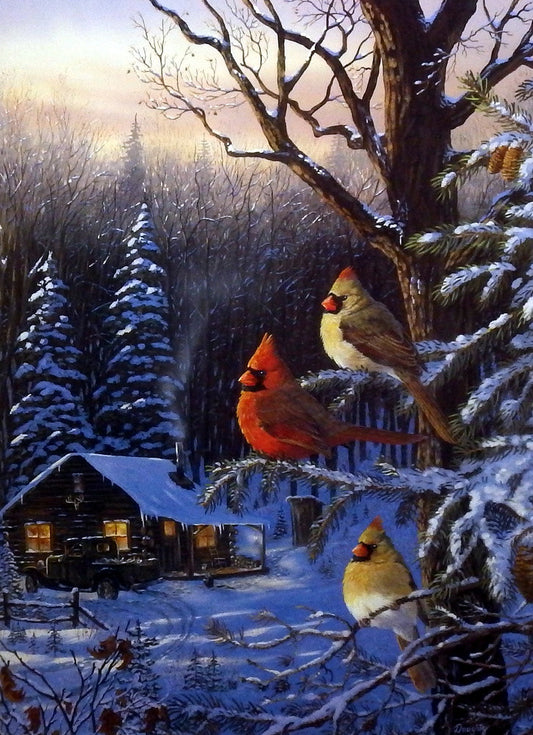 Terry Doughty Cabin Fever