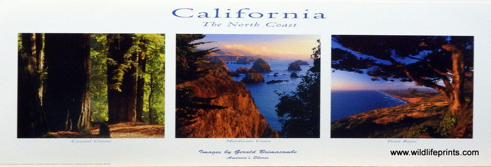 Gerald Brimacombe California