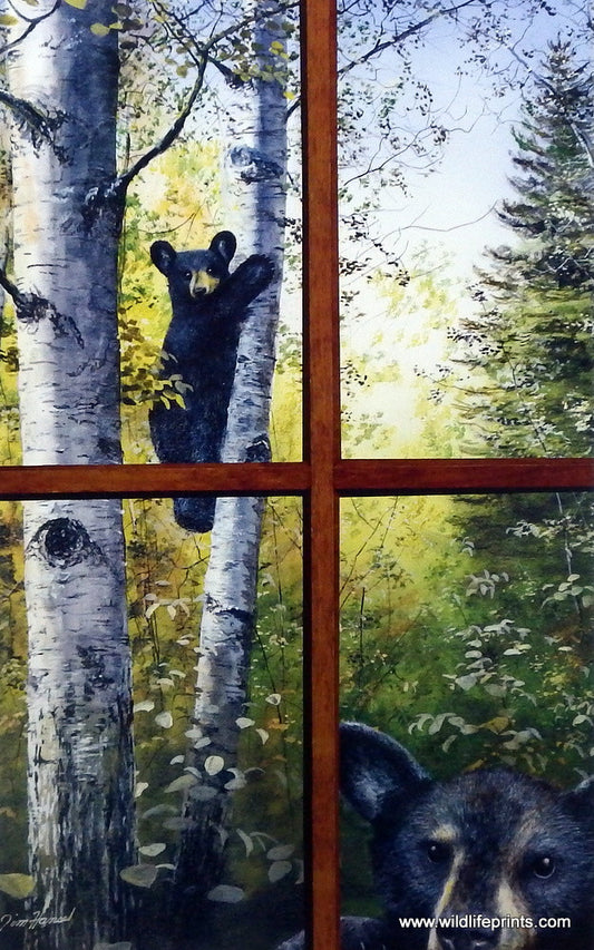 Jim Hansel Can't Bear To Look