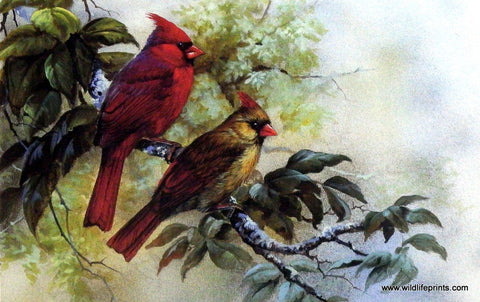 Gamini Ratnavira Cardinal