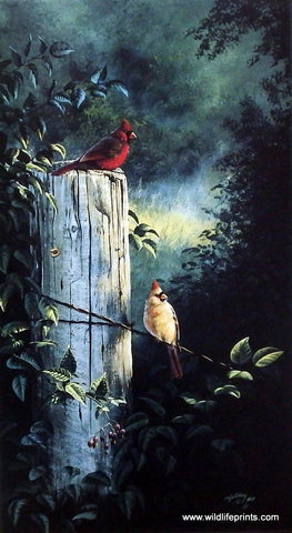 Rick Kelley Cardinals