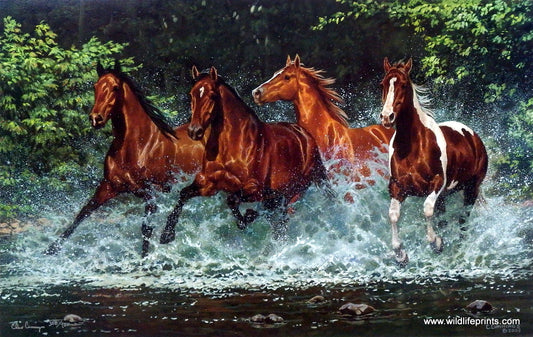 Chris Cummings Wild Horses Galloping Picture