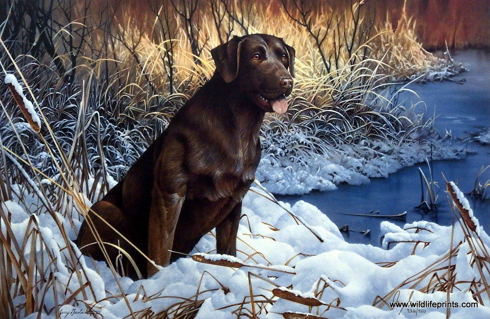 Jerry Gadamus Candlewood Cash