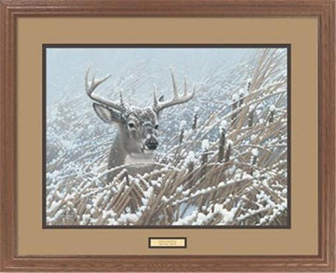 Micheal Sieve Cattail Whitetail Deer Print