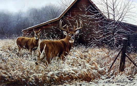 Rosemary Millette Chance Encounter S/N Artist Proof