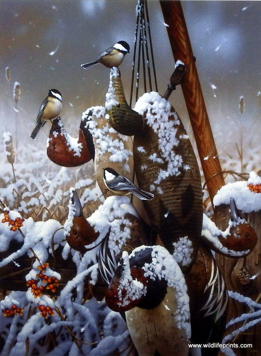 Jerry Gadamus Chick A Dee-Coy