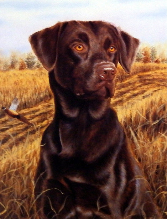 Michael Steddum Chocolate Lab "Brandy"
