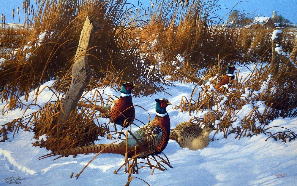 Michael Sieve Corner Post Refuge- Pheasants