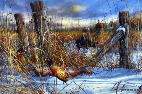 Kevin Daniel Corner Post Ringnecks