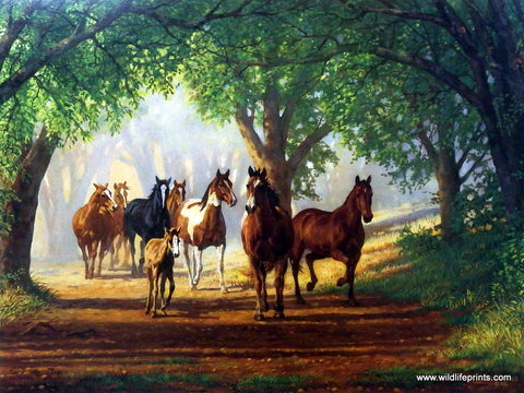 Chris Cummings Wild Horse Herd Picture