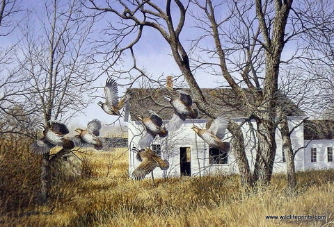 Richard Plasschaert Covey Break