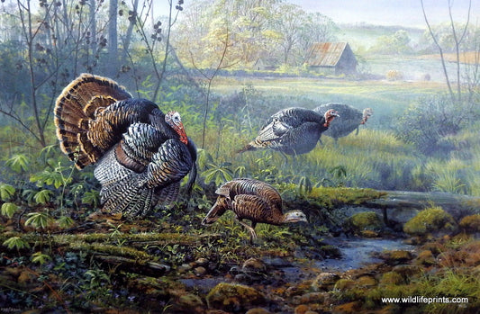 Scott Zoellick Crawford Country Courtship