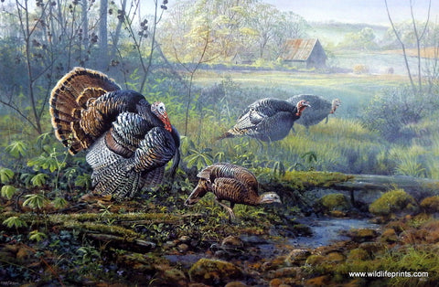 Scott Zoellick Crawford Country Courtship