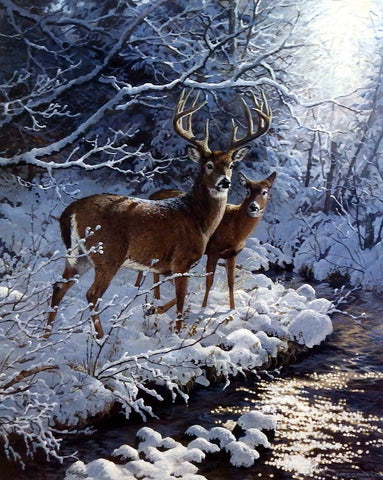 Persis Clayton Weirs Creekside- Whitetail Deer