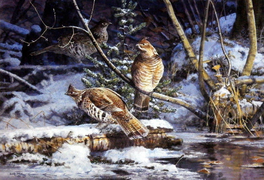 Scott Zoellick Creekside Solitude