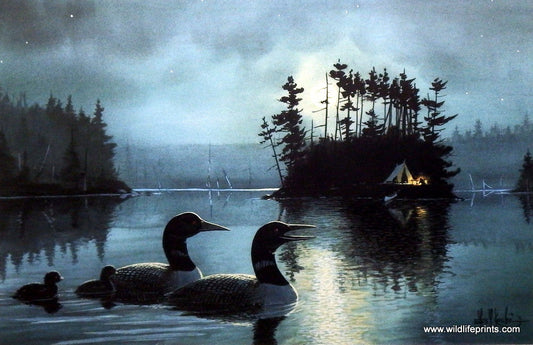 Les Kouba Cry Of The Loon