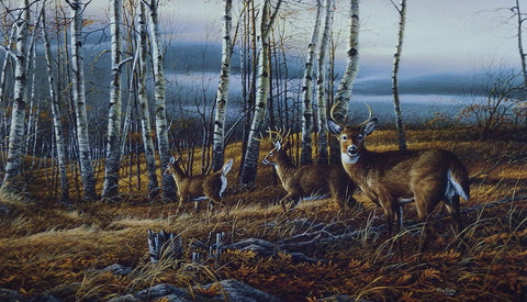 Terry Redlin Whitetail Deer Print THE BIRCH LINE