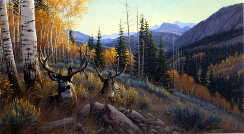 Michael Sieve Indian Summer Mule Deer