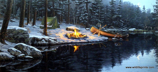 Darrell Bush Back In The Pines