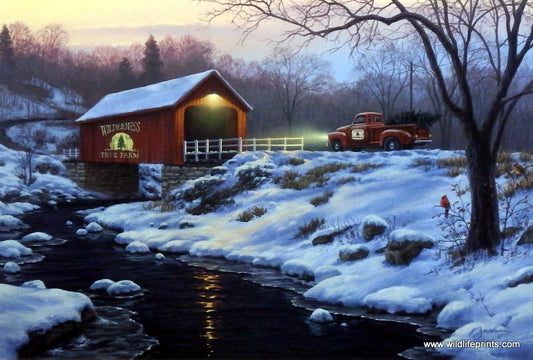 Darrell Bush Holiday Traditions