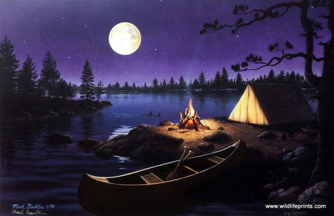 Mark Daehlin Moonlight Retreat
