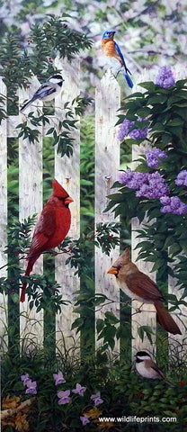 Mark Daehlin Picket Fence