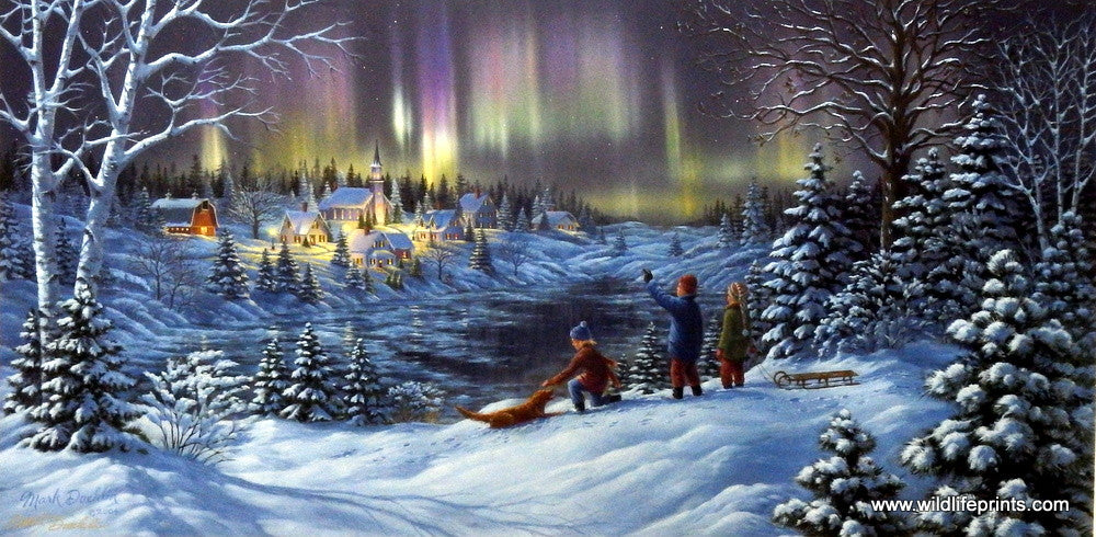 Mark Daehlin Wonder