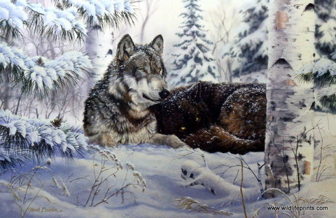 Mark Daehlin Heart And Soul