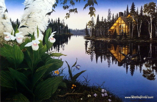 Mark Daehlin Lady's Slipper Cove