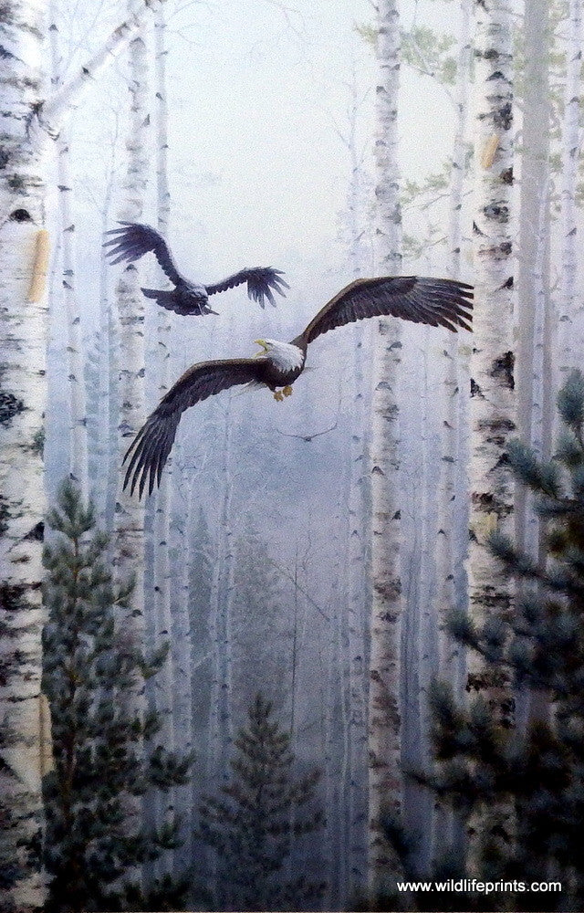 Mark Daehlin Pursuit