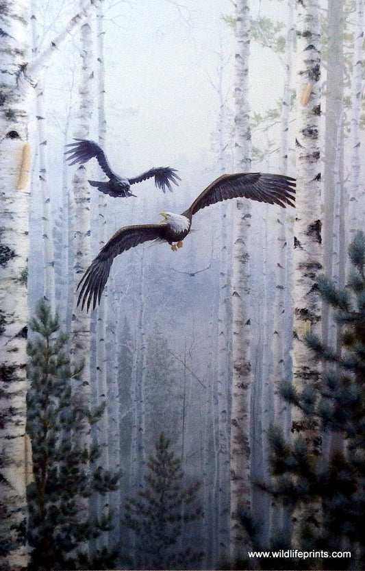 Mark Daehlin Pursuit