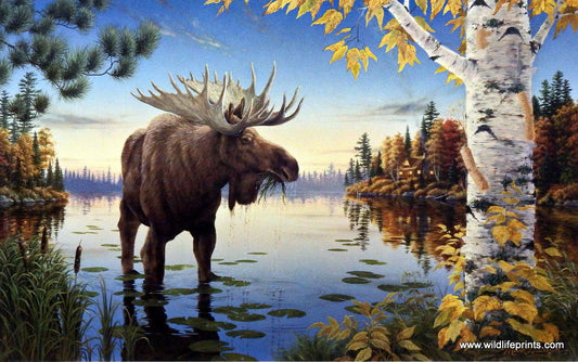 Mark Daehlin Autumn Majesty