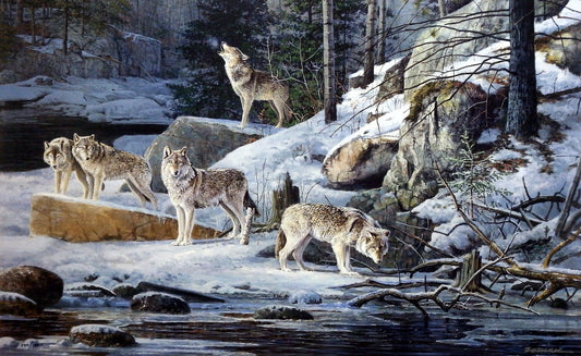Scott Zoellick Cry Wolf