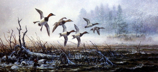Scott Zoellick Fowl Weather