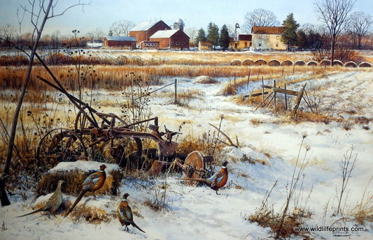 Scott Zoellick The Immigrants